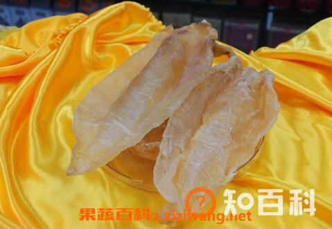 普通鱼胶的功效与作用