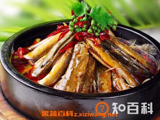 泥鳅的药用价值与功效作用