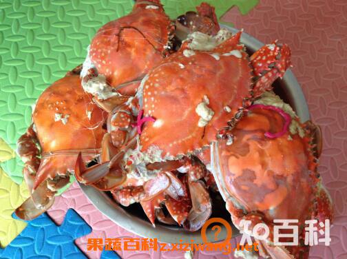 螃蟹不能和什么一起吃 吃螃蟹的禁忌