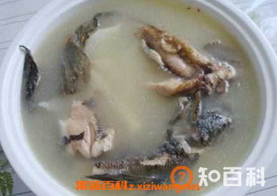 山花鱼怎么煲汤 山花鱼煲汤的功效