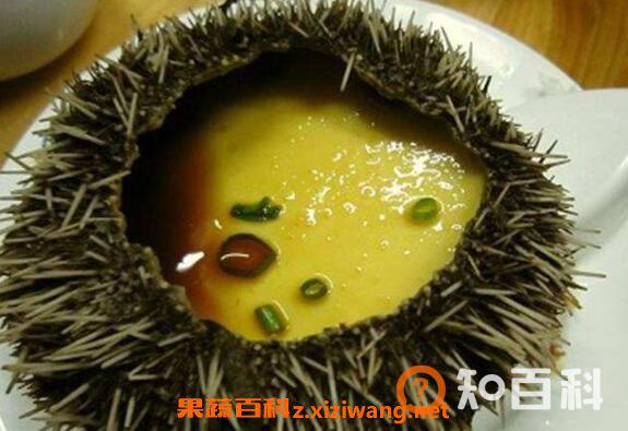 海胆怎么处理 海胆怎么打开