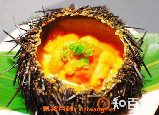 海胆的营养价值与功效