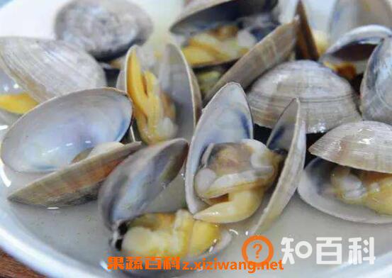 花蛤如何去沙 花蛤吐沙最快的方法