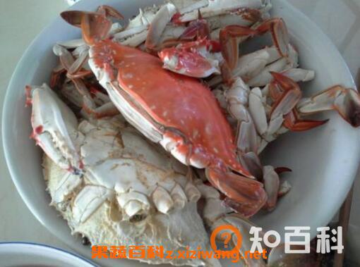 螃蟹不能和什么一起吃 吃螃蟹的禁忌