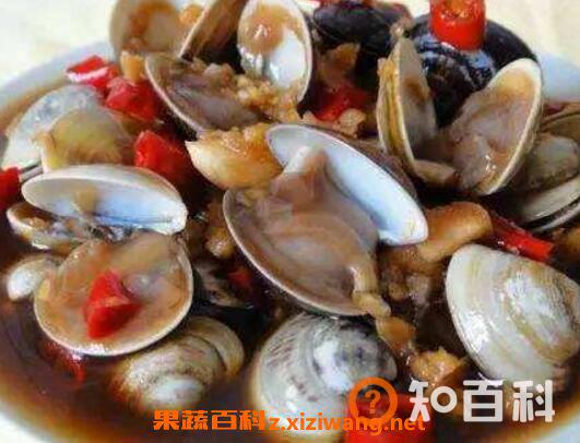 文蛤的功效与作用 文蛤的做法