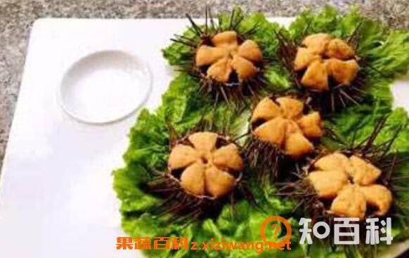 为什么海胆弄开没有黄 海胆没有黄怎么处理
