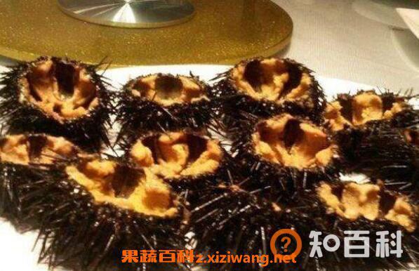 为什么海胆弄开没有黄 海胆没有黄怎么处理