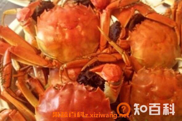 螃蟹不能和什么一起吃 螃蟹与什么食物相克