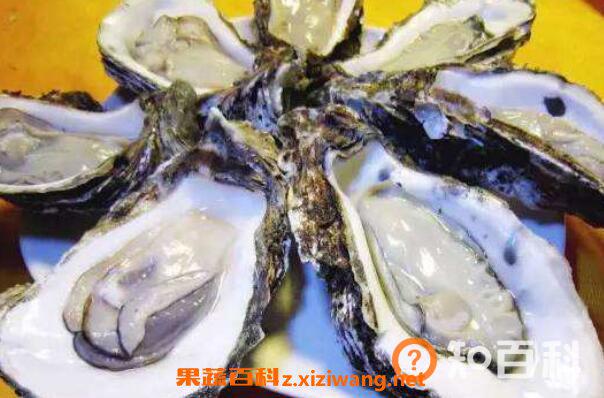 生蚝怎么吃 生蚝不能吃的部位图解