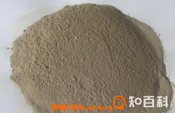 生蚝粉的功效与作用 吃生蚝粉的好处与功效