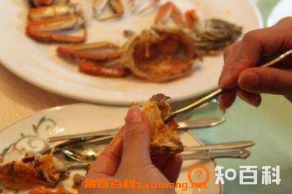 螃蟹怎么吃 螃蟹的吃法剥法图解