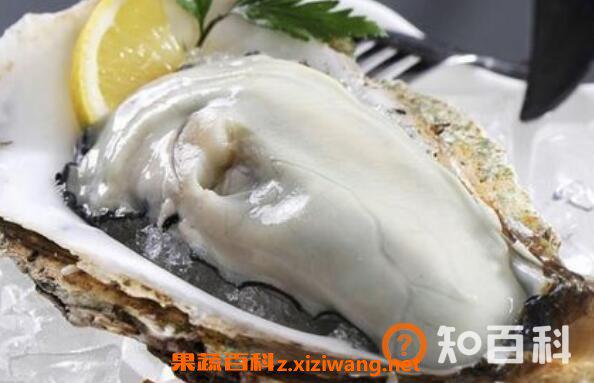 生蚝怎么吃 生蚝不能吃的部位图解
