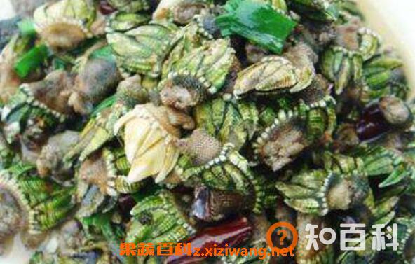 海佛手怎么吃 海佛手的食用方法