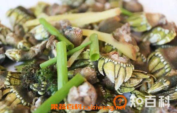 佛手螺怎么吃图解 佛手螺怎么保存方法