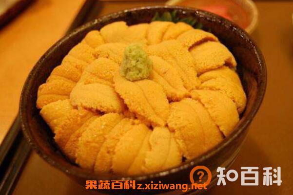 海胆怎么吃有营养价值 海胆不能和什么一起吃
