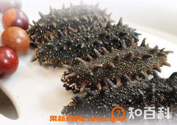 刺海参的功效与作用 吃刺海参的好处