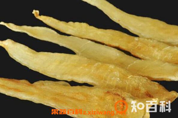 金龙鱼胶是什么 金龙鱼胶的功效与作用