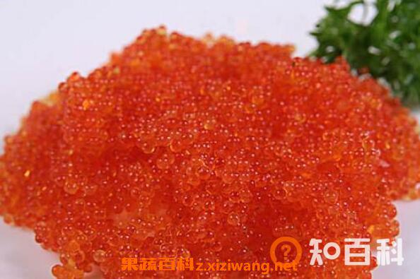 飞鱼籽是什么鱼的籽 飞鱼籽的营养价值