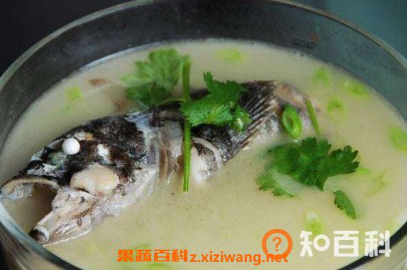 黑鱼汤的功效与作用