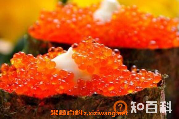 飞鱼籽是什么鱼的籽 飞鱼籽的营养价值