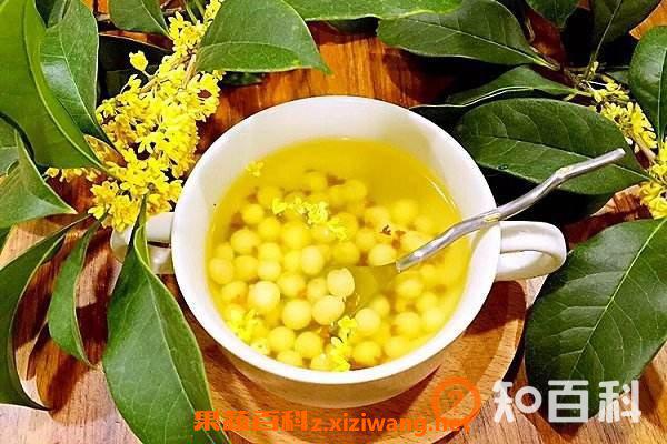 桂花果怎么吃 桂花果的食用方法