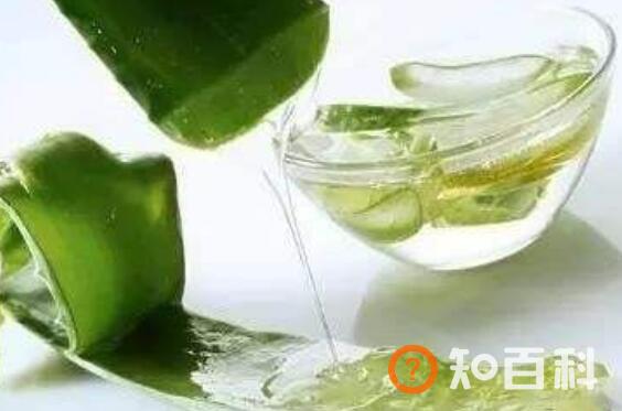芦荟汁的功效与作用及禁忌