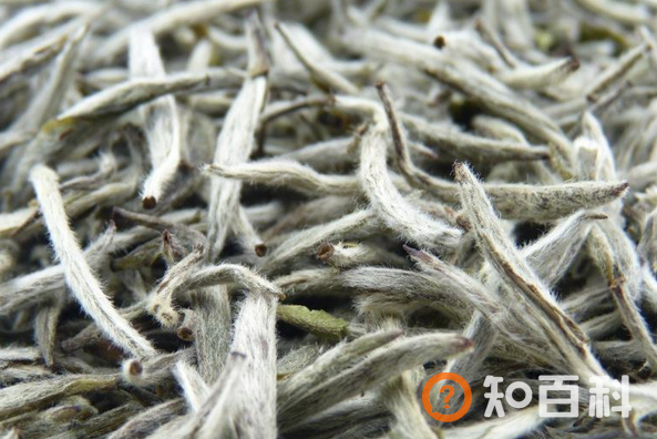 夏天喝什么茶最好 适合夏天喝的茶介绍