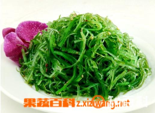 裙带菜如何吃好 裙带菜的做法大全
