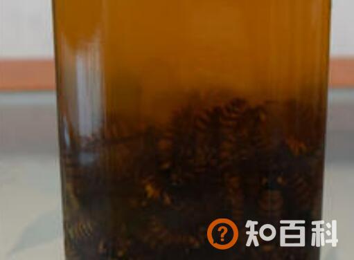 地龙蜂酒的功效与作用