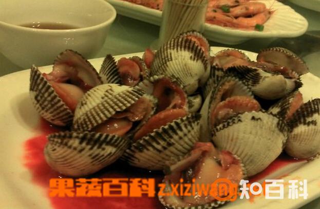血蚶的功效与作用 血蚶的营养价值
