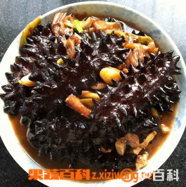 葱爆海参的做法大全 葱爆海参怎么做