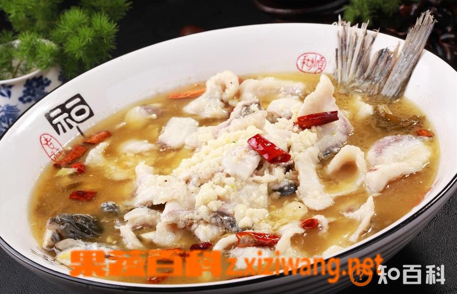 烧酸菜鱼用什么鱼 酸菜鱼怎么做