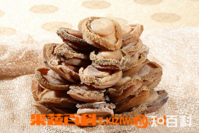 鲍鱼的营养价值有哪些
