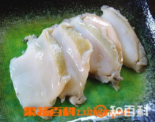 生鲍鱼的营养价值及功效 生鲍鱼的食用方法