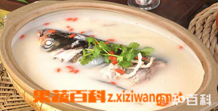 鱼汤怎么炖白 鱼汤炖白的做法