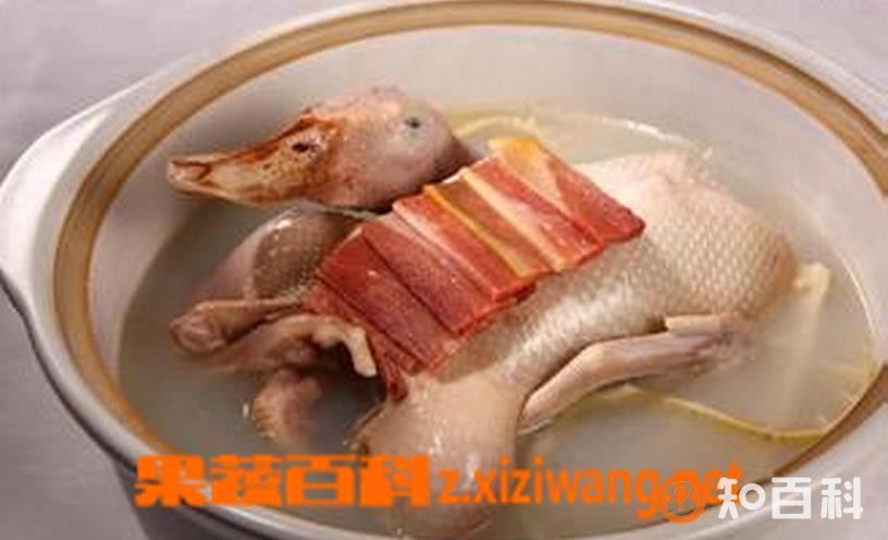 鸭子肉汤怎么做好吃 鸭子肉汤的做法