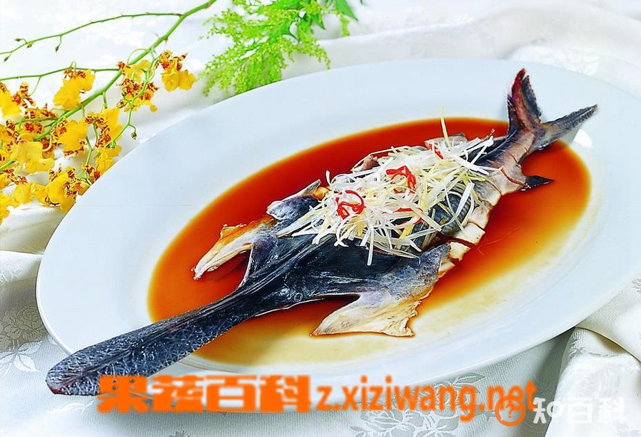 鸭嘴鱼如何做好吃 鸭嘴鱼的做法步骤