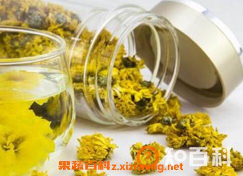 喝菊花茶有什么好处与功效