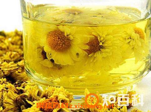 孕妇能喝菊花茶吗 孕妇喝菊花茶的好处和坏处