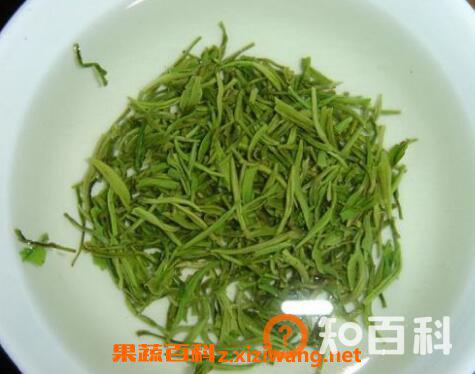 茶叶毛尖的好处和坏处