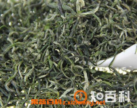恩施毛尖的功效与作用