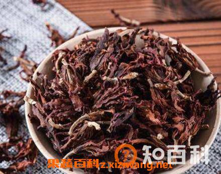 玉兰花茶的功效与作用 喝玉兰花茶的好处