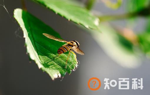 生活中常见的急救小常识 了解更多的日常急救方法