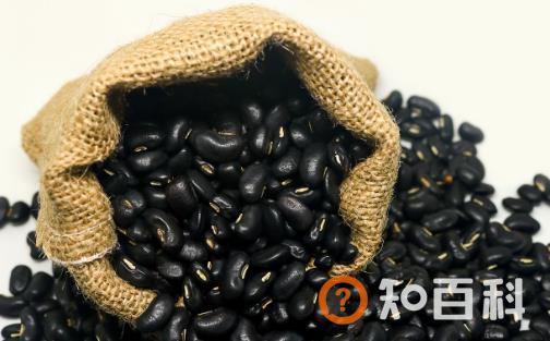 老人更适合吃黑豆养生 说说黑豆的几款创意吃法