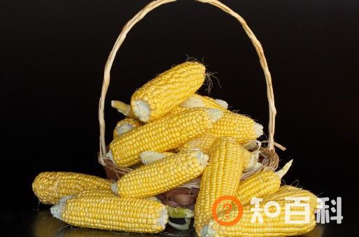 ​中老年人吃玉米益处多 玉米四功效大揭秘