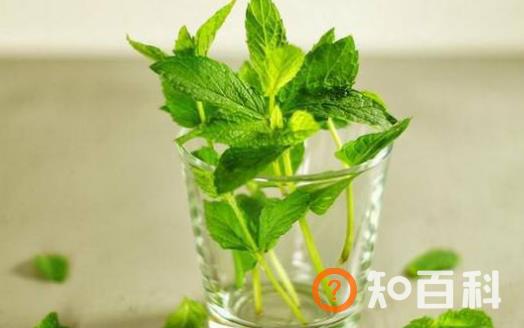 老人护牙必须知道的7个误区 能保护牙齿的9种食物