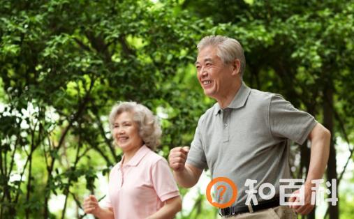 老人补肾气有多重要 补肾气的养生汤推荐