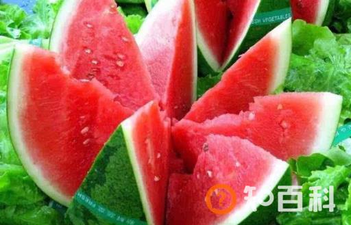 夏季老人多吃这6种瓜 降温养胃促进新陈代谢