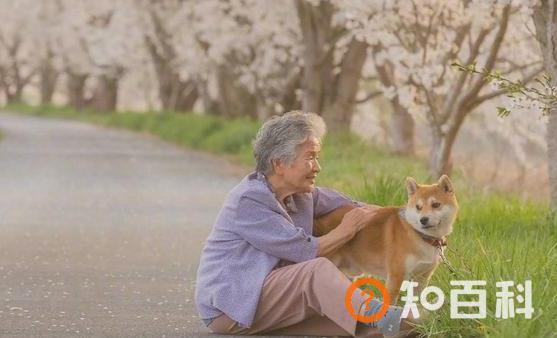 老年人适当进行娱乐活动 更加有助老年人身心健康