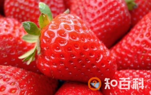 老年人容易上火 能给老年人降火的10种食物